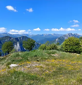 Foto annuncio 37