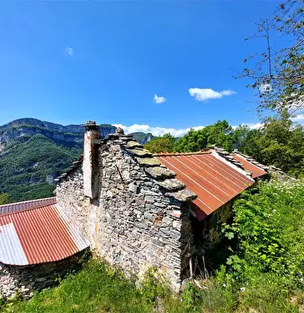 Foto annuncio 1