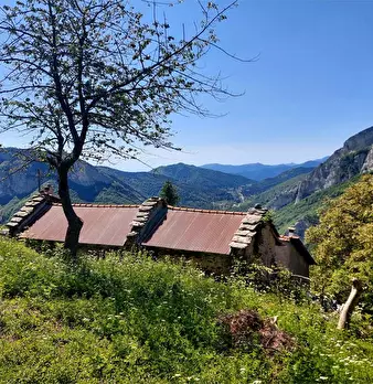 Foto annuncio 4