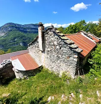 Foto annuncio 19
