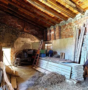 Foto annuncio 8