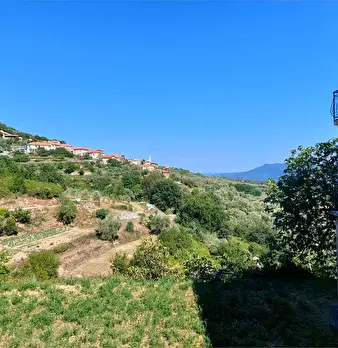 Foto annuncio 10