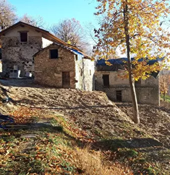 Foto annuncio 67