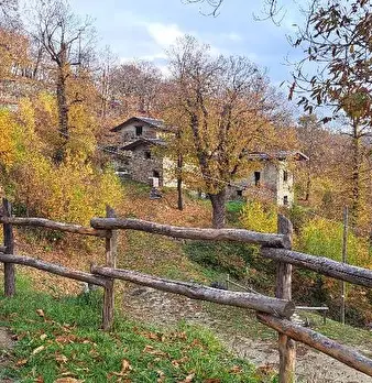 Foto annuncio 71