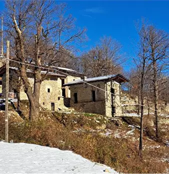 Foto annuncio 62