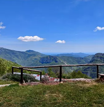 Foto annuncio 4