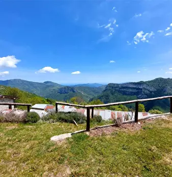 Foto annuncio 29