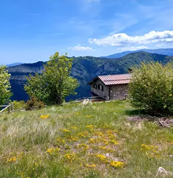 Foto annuncio 31