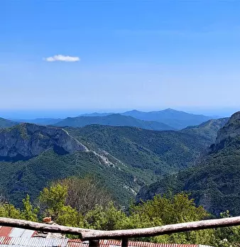 Foto annuncio 6