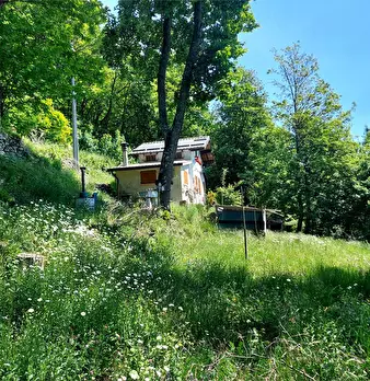 Foto annuncio 37