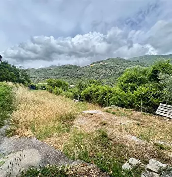 Foto annuncio 23