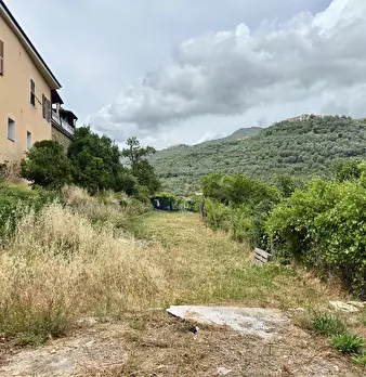 Foto annuncio 24