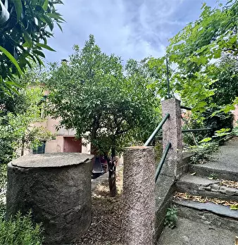 Foto annuncio 21