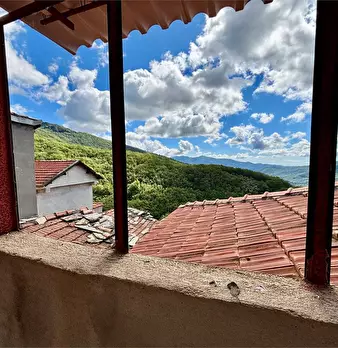 Foto annuncio 6