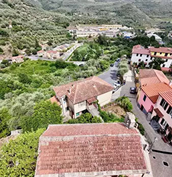 Foto annuncio 7