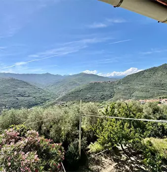 Foto annuncio 30