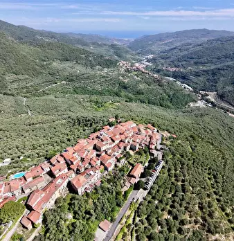 Foto annuncio 47