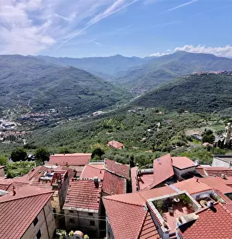 Foto annuncio 44