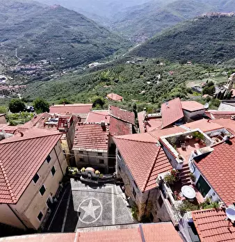 Foto annuncio 43