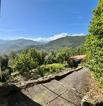 Foto annuncio 42