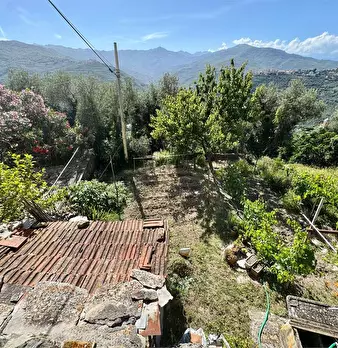 Foto annuncio 43