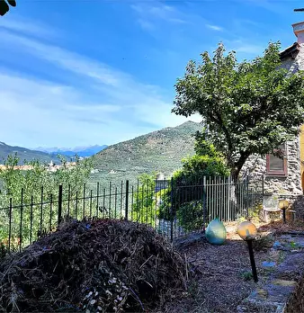 Foto annuncio 8