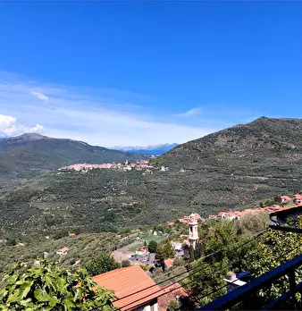 Foto annuncio 51