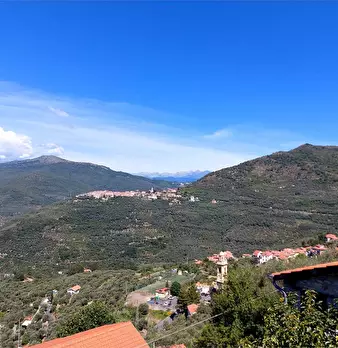 Foto annuncio 55