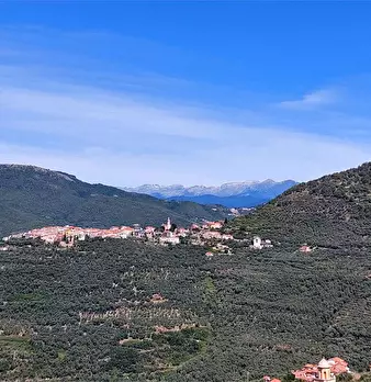 Foto annuncio 56