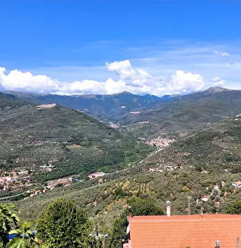 Foto annuncio 57