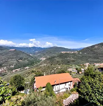 Foto annuncio 58
