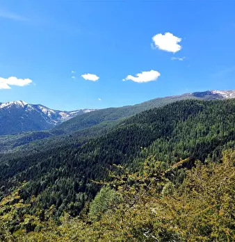 Foto annuncio 18