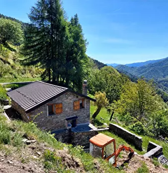 Foto annuncio 44