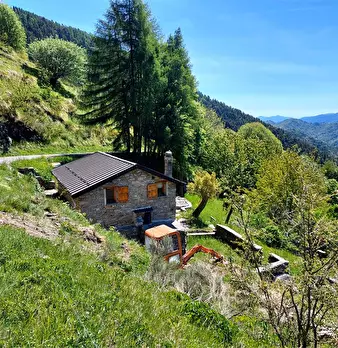 Foto annuncio 9