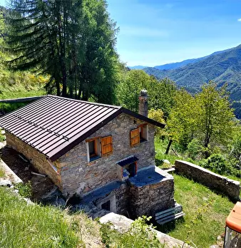 Foto annuncio 2
