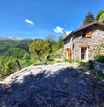 Foto annuncio 35