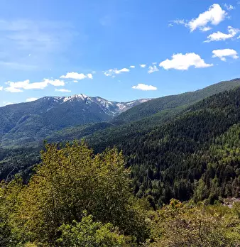 Foto annuncio 38