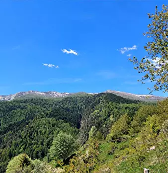 Foto annuncio 39