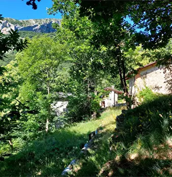 Foto annuncio 49