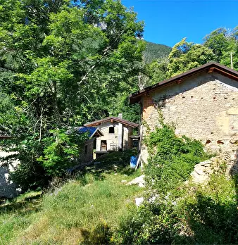 Foto annuncio 48