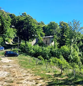 Foto annuncio 58
