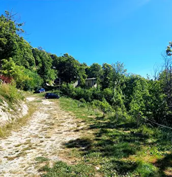 Foto annuncio 59