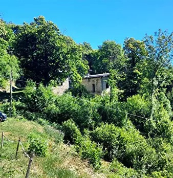 Foto annuncio 57
