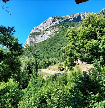 Foto annuncio 24