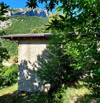 Foto annuncio 30