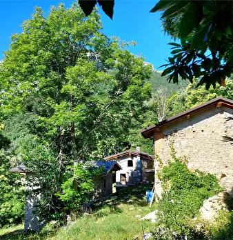 Foto annuncio 31