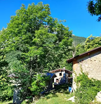 Foto annuncio 47