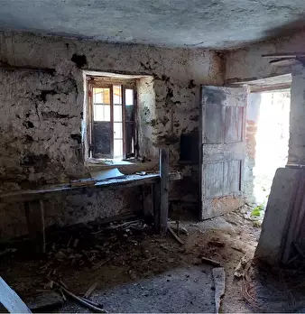 Foto annuncio 43