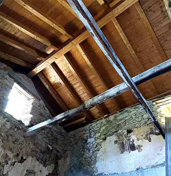 Foto annuncio 44