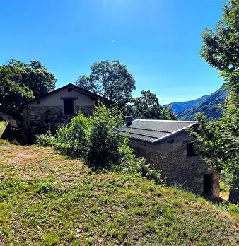 Foto annuncio 34